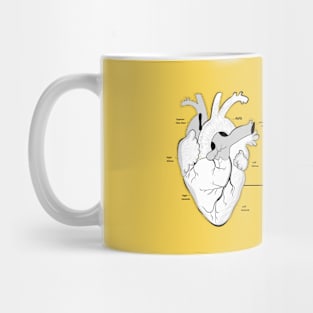 Anatomical Heart Valentine's Mug